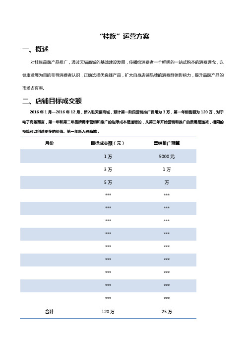 天猫店铺品牌运营方案