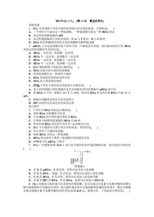 2013届高三生物广东专版一轮复习课时作业19基因的表达