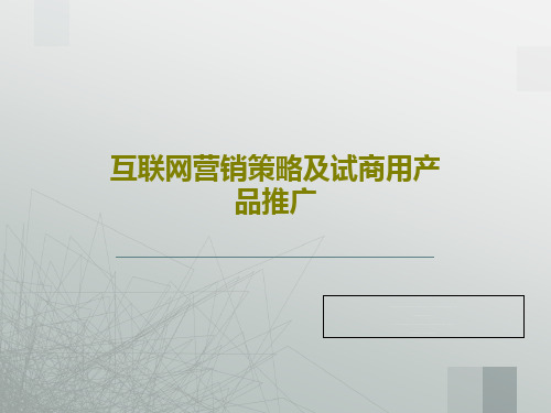 互联网营销策略及试商用产品推广共55页