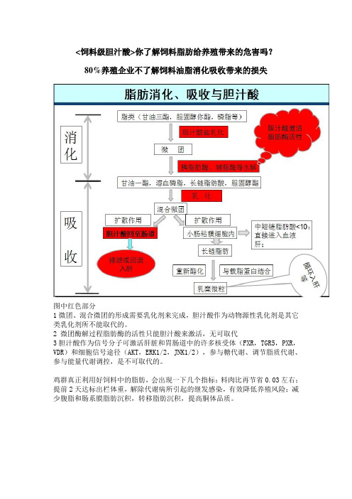 饲料级胆汁酸的乳消化作用