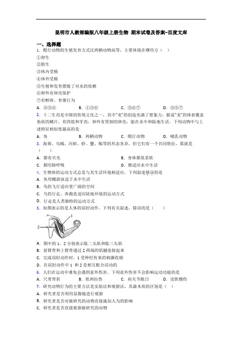 昆明市人教部编版八年级上册生物 期末试卷及答案-百度文库