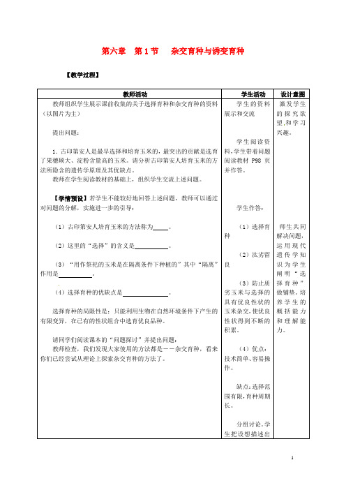 高中生物 6.1 杂交育种与诱变育种教案 新人教版必修2