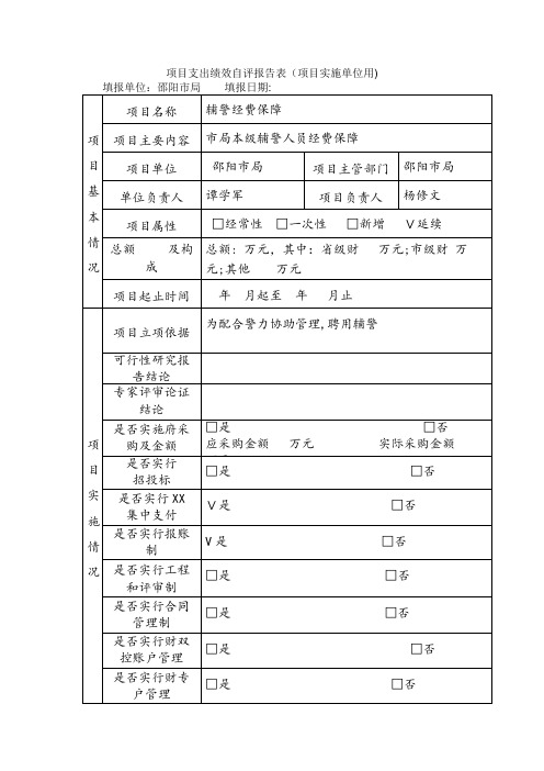 项目支出绩效自评报告表项目实施单位用.doc