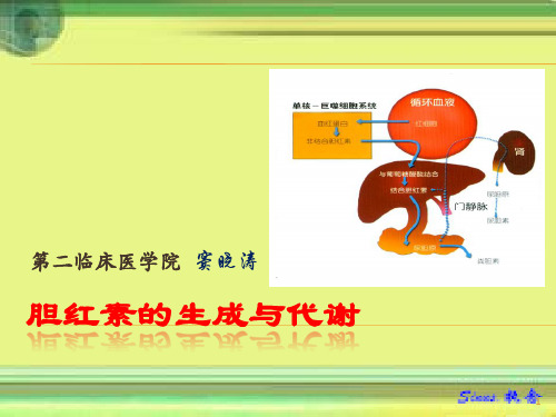 胆红素的生成代谢PPT幻灯片