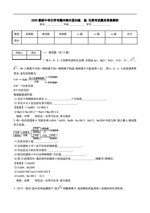 2020最新中考化学专题冲刺分层训练 盐 化肥考试题含答案解析.doc