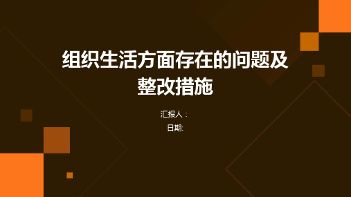 组织生活方面存在的问题及整改措施