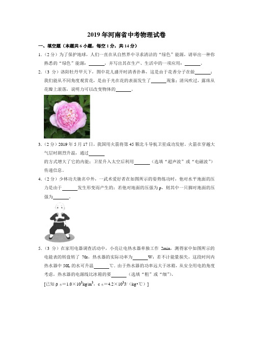 2019年河南省中考物理试卷(中考真题)
