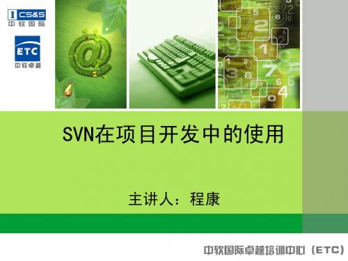 SVN在小组项目开发中的使用