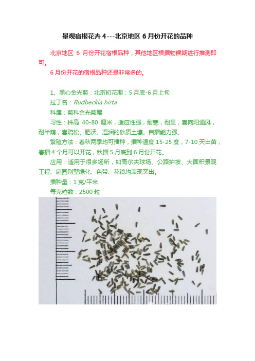 景观宿根花卉4---北京地区6月份开花的品种