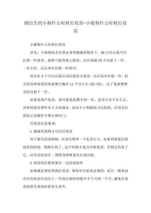 刚出生的小狗什么时候打疫苗-小鹿狗什么时候打疫苗