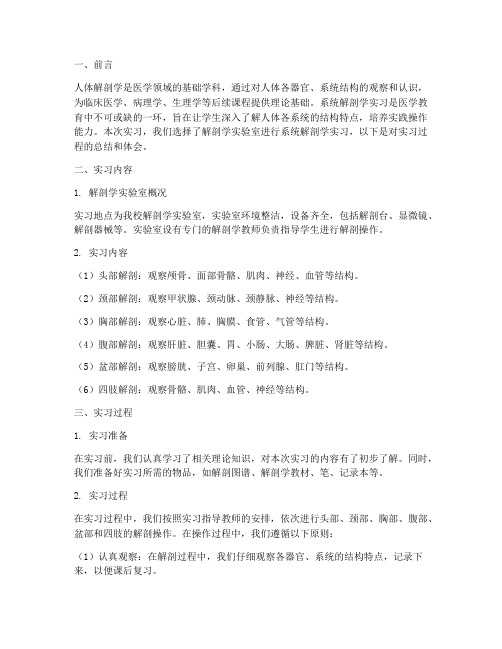 系统解剖学实习报告