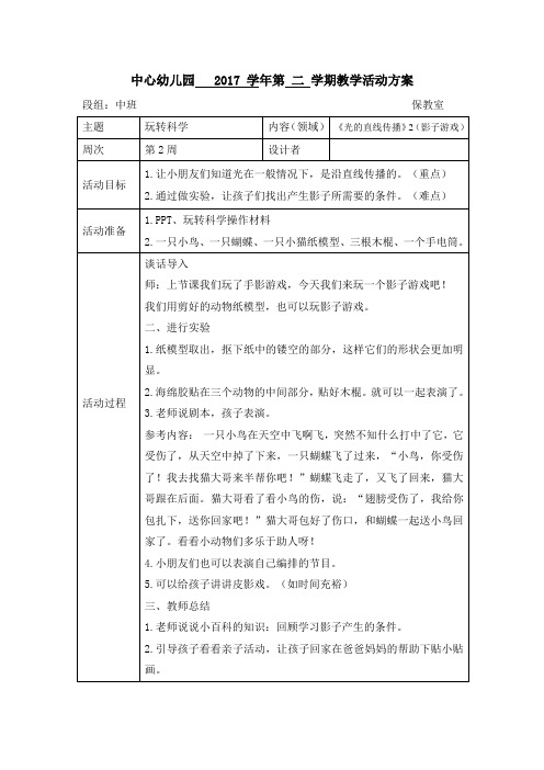 大班科学教案：《光的直线传播》2(影子游戏)