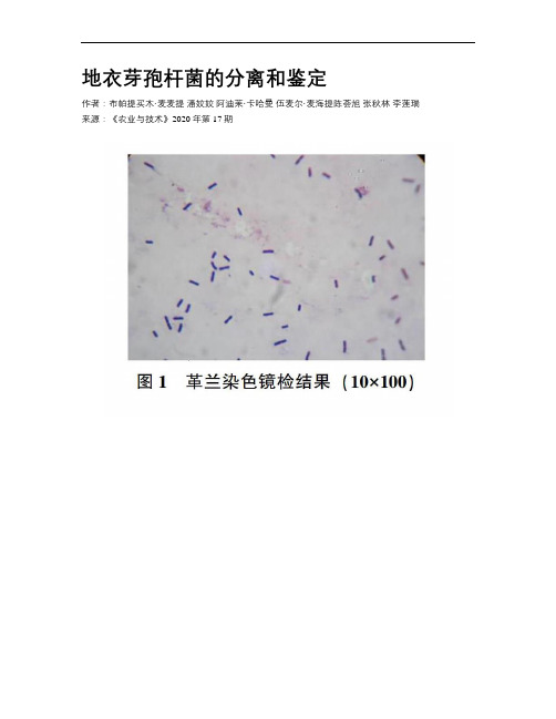 地衣芽孢杆菌的分离和鉴定