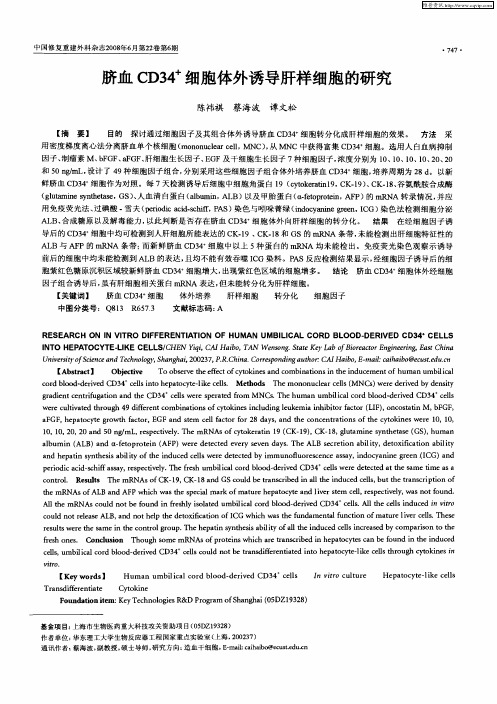 脐血CD34 +细胞体外诱导肝样细胞的研究