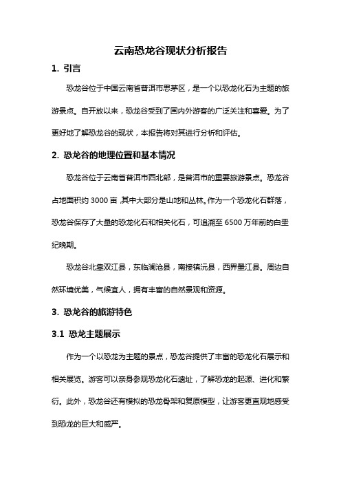 云南恐龙谷现状分析报告