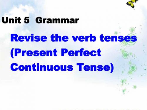 高二英语(新人教版)选修8课件:Unit+5《Meeting+your+ancestors》Grammar