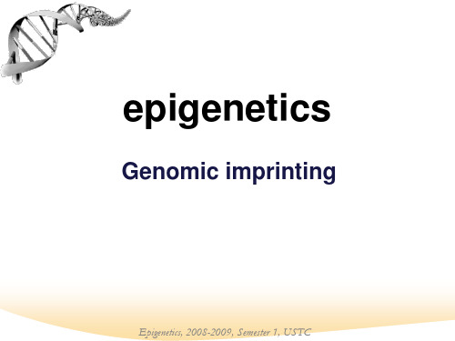 表观遗传学-基因组印记(Genomic imprinting)