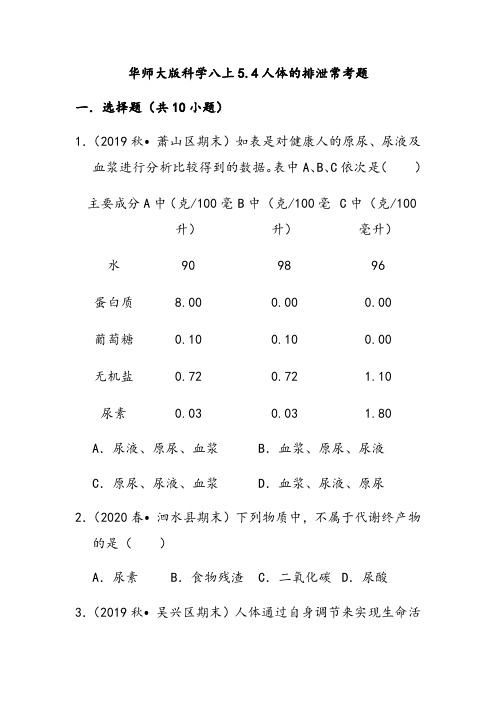 华师大版科学八年级上册 5.4人体的排泄常考题