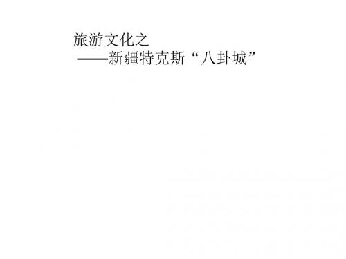 旅游文化之特克斯