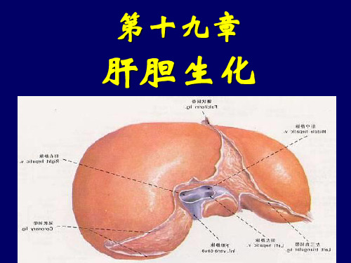 肝胆生化 —生物化学