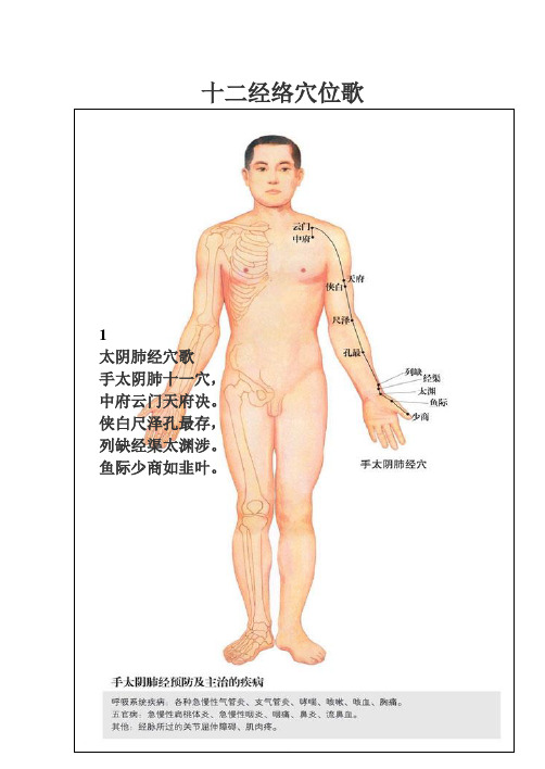 十二经络穴位歌(喜马拉雅)专用版