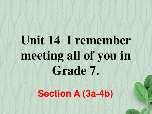 【初中英语】2018秋季学期人教版(RJ)初中九年级英语上册优质课件：Unit 14 Section A (3a-4c)-精品PPT