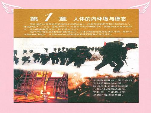 2015高中生物 1.1细胞生活的环境课件 新人教版必修3
