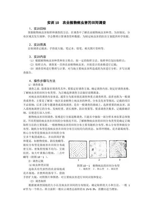 实训10 农业植物病虫害的田间调查