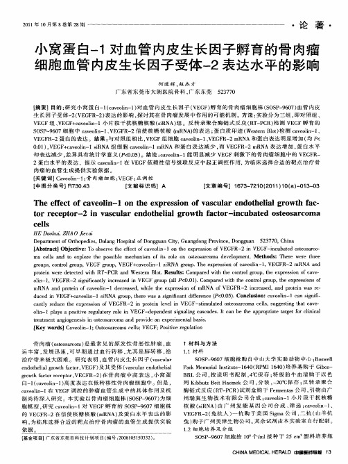 小窝蛋白-1对血管内皮生长因子孵育的骨肉瘤细胞血管内皮生长因子受体-2表达水平的影响