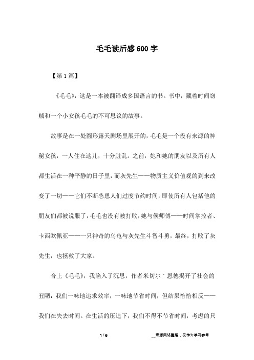 毛毛读后感600字