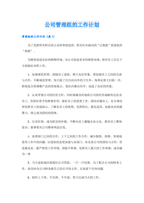 公司管理组的工作计划