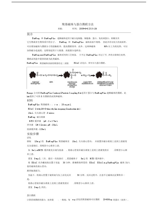 羧基磁珠与蛋白偶联方法.doc