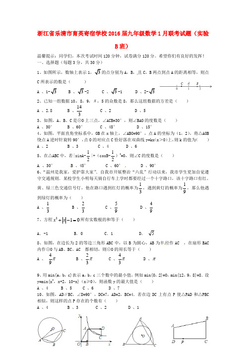 浙江省乐清市育英寄宿学校九年级数学1月联考试题(实验B班) 新人教版