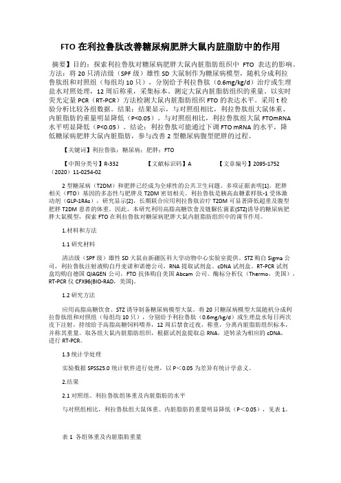 FTO在利拉鲁肽改善糖尿病肥胖大鼠内脏脂肪中的作用