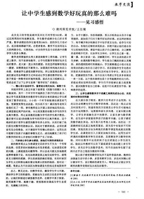 让中学生感到数学好玩真的那么难吗——见习感悟