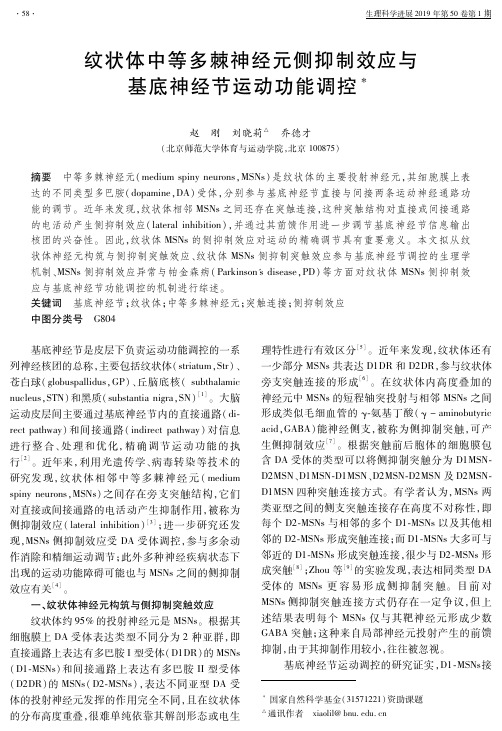 纹状体中等多棘神经元侧抑制效应与基底神经节运动功能调控