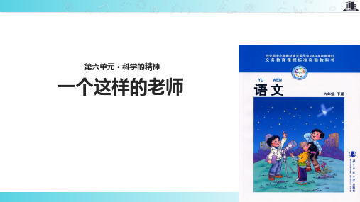 2021小学语文北师大版六年级下册《一个这样的老师》.pptx教学课件