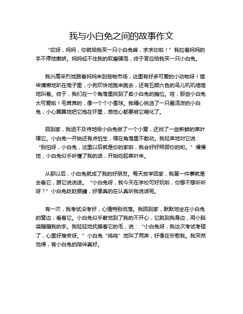 我与小白免之间的故事作文