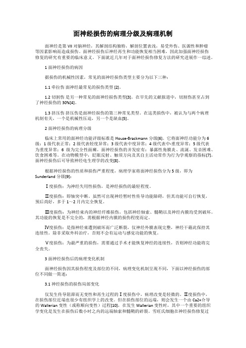 面神经损伤的病理分级及病理机制