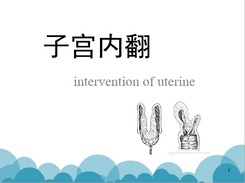 子宫内翻PPT精选课件