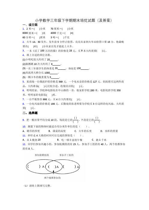 小学数学三年级下学期期末培优试题(及答案)