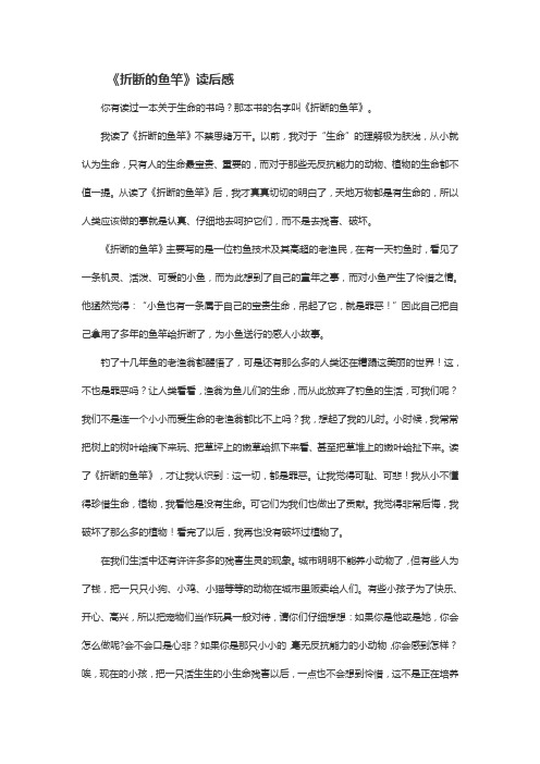 《折断的鱼竿》读后感