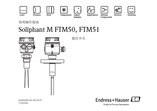 E+H Soliphant T FTM50 FTM51 限位开关简明操作指南