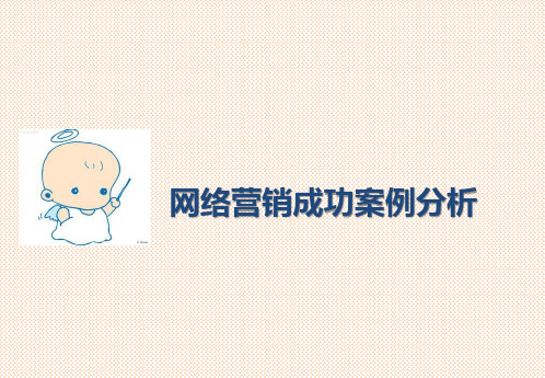 网络营销成功案例分析