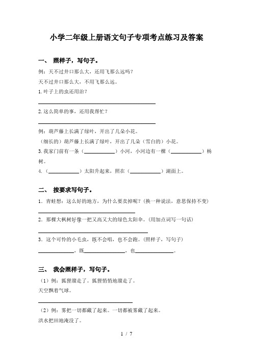 小学二年级上册语文句子专项考点练习及答案