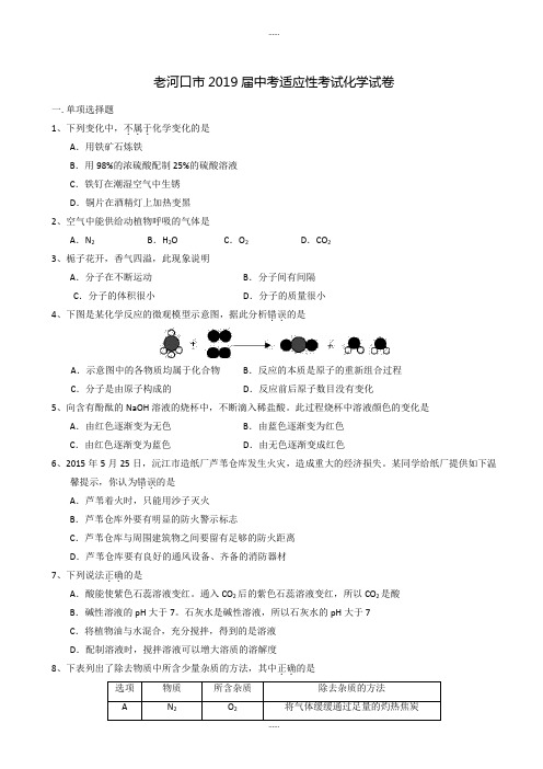 老河口市2019届中考适应性考试化学试卷(有答案)精选