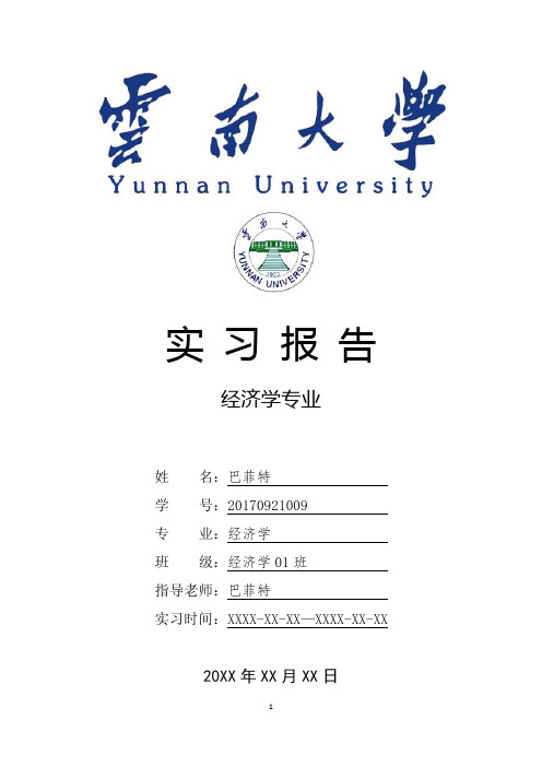 云南大学经济学专业实习报告范文模板