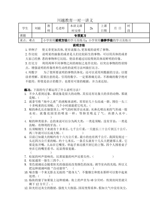 (小升初)小学语文六年级上册专项复习说明方法 修辞