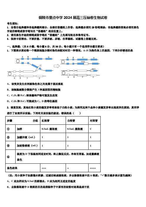 铜陵市重点中学2024届高三压轴卷生物试卷含解析