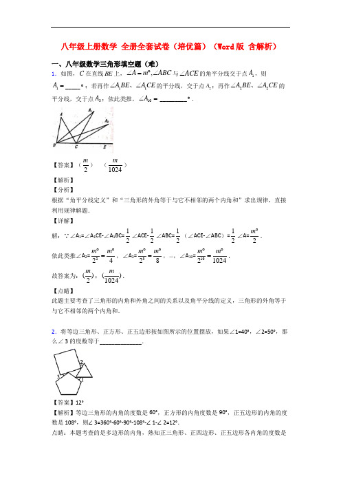 八年级上册数学 全册全套试卷(培优篇)(Word版 含解析)